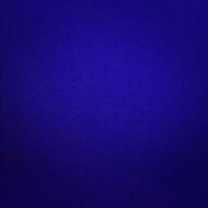 Meet your Posher, Sofia